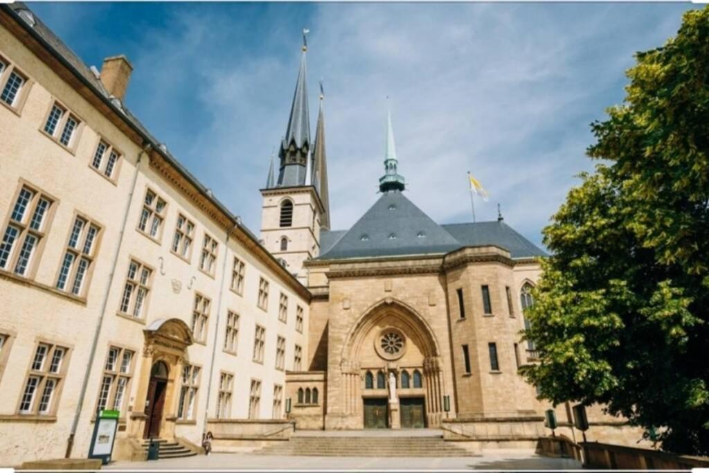 Large Family Retro Flat In City Center- Large Terrace & Garden View, Free Parking Luxemburg Buitenkant foto